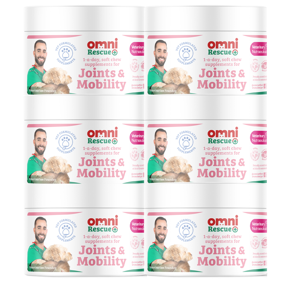 Omni – wholesale Pet supplement – Dog – Omni Rescue - ‘Joints & Mobility’ supplement2