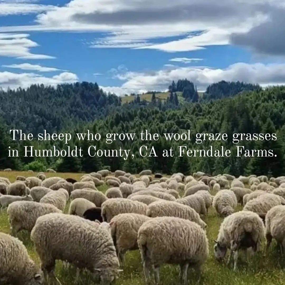 Full Circle Wool - Wholesale Dishcloth - Wool Dish Sponges ~ Climate Beneficial™ (case of 12 units)4