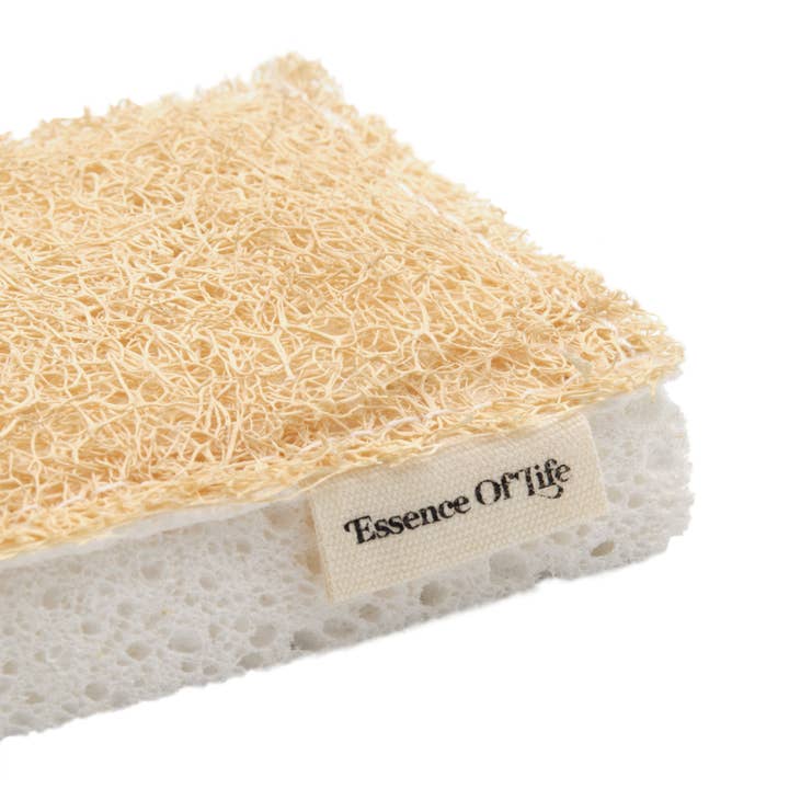 Essence of Life Organics - Vendita all'ingrosso Spugnetta per pulire - Spugne da cucina 100% compostabili, confezione da 24