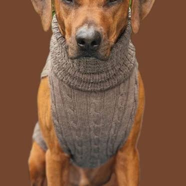 kay-line – wholesale Pet jumper – Dog – Dog Sweater SMARTY Hazelnut 100% Merino Wool0