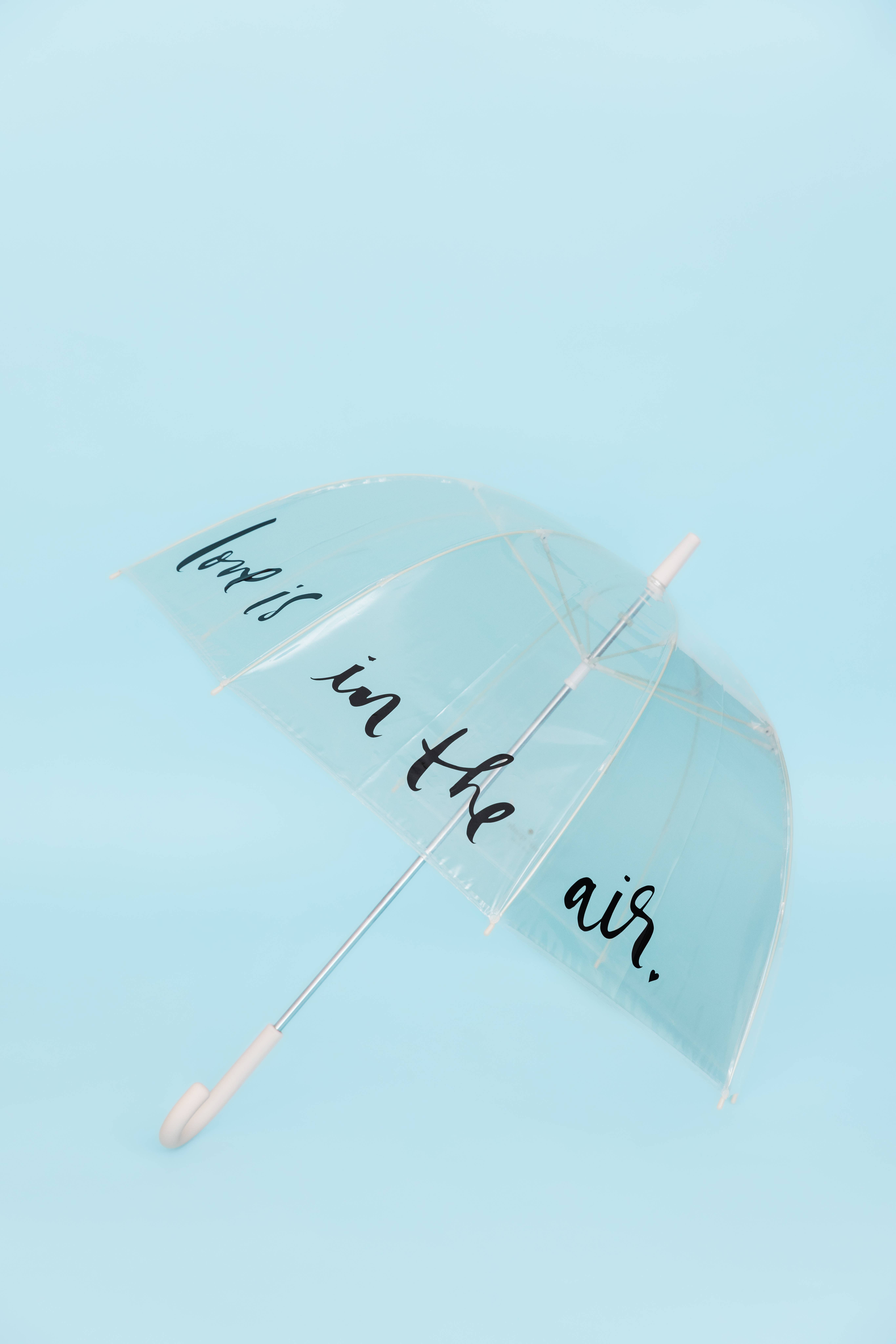 Kate Spade New York by Lifeguard Press - Wholesale Umbrella - Unisex - Umbrella (Clear), Love Is In The Air