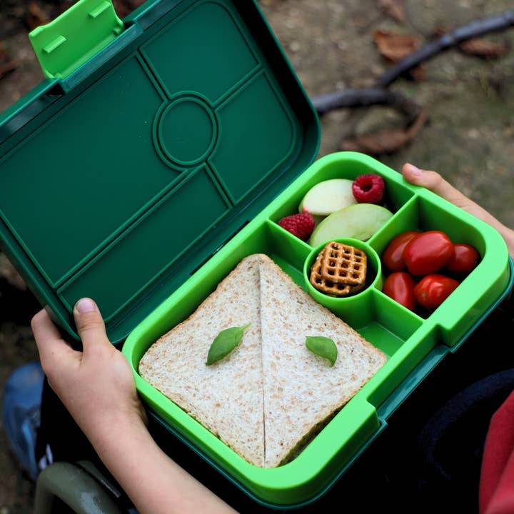 Yumbox - Wholesale Lunch Bag/Box - Kids - Leakproof Yumbox Tapas Bento Lunch Box - Palm Green - 4 Compartment with Lime Tray -Large Size