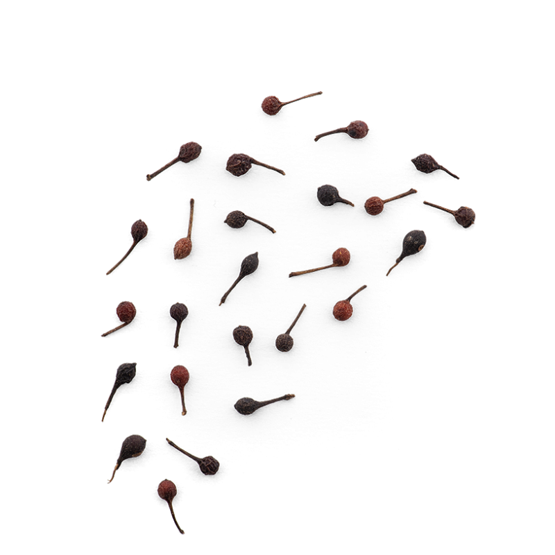 Epices Max Daumin – Großhandel Pfeffer/Pfefferkörner – Wilder Voatsiperifery-Pfeffer1