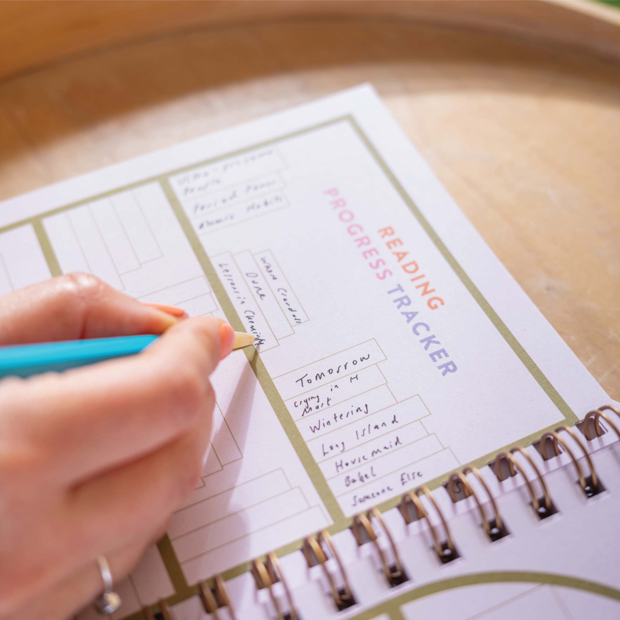 Good Tuesday (Once Upon a Tuesday) - Wholesale Journal/Diary - Reading Journal A5 | Deckchair Stripe | Hardcover4