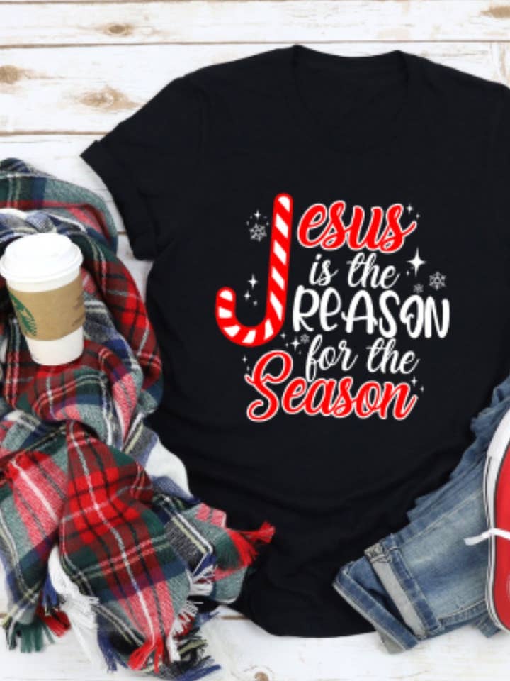 Jesus is the Reason Tee for wholesale by Plain Apparel Tees