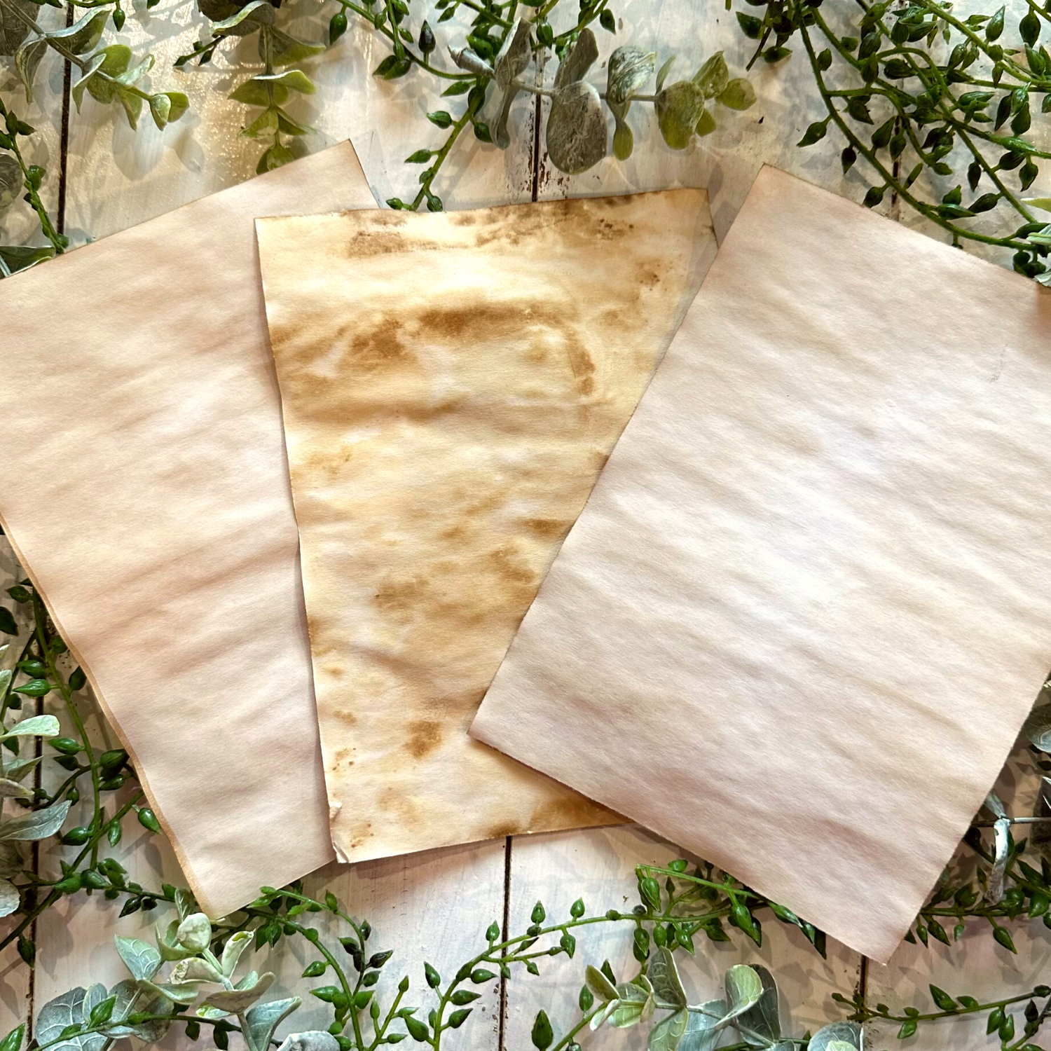 NOMAD Moon Magic - Wholesale Stationery/Notecard Set - Handmade Cottagecore Toad Coffee-Dyed Note Papers5