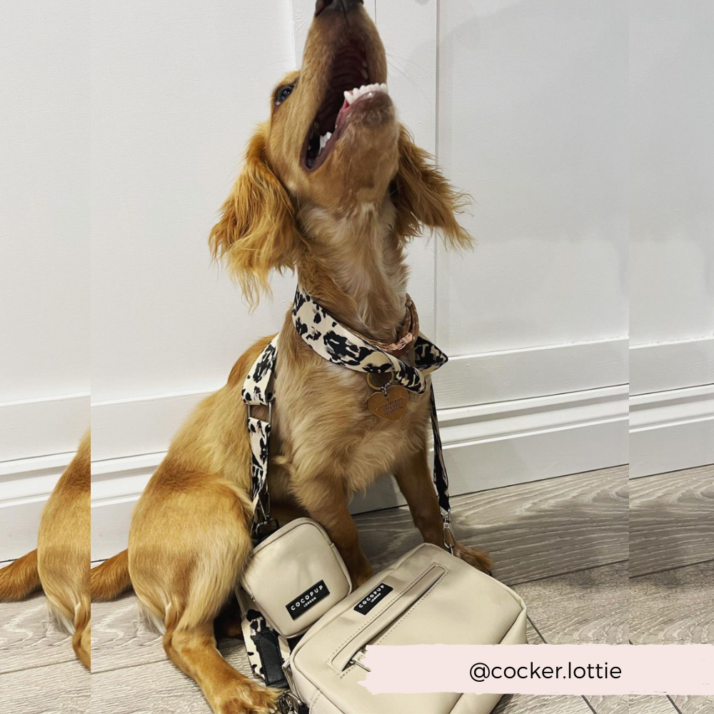 Cocopup London – wholesale Väskremmar – Dam – Bagrem - Ivory Tort6