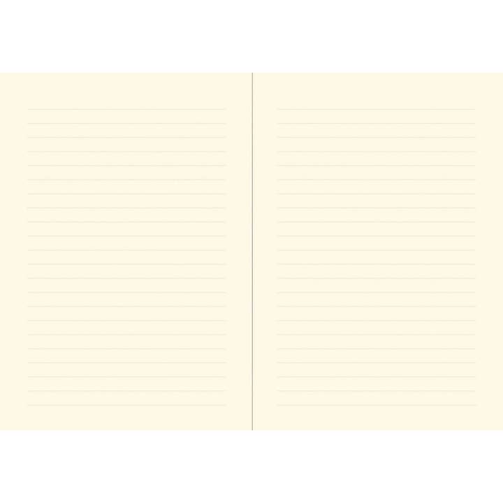 Peter Pauper Press - Wholesale Journal/Diary - Safavid Splendor Journal