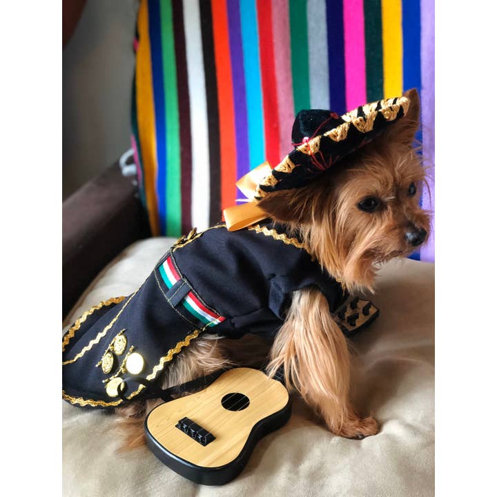 Gueyita Mexicana - Wholesale Pet Costume - Dog - Mariachi Dog Costume/Outfit - With Skirt and Black Sombrero3