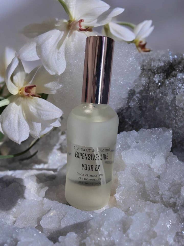 Expensive: Like Your Ex Deodorant Spray for wholesale by Vincent & Rose