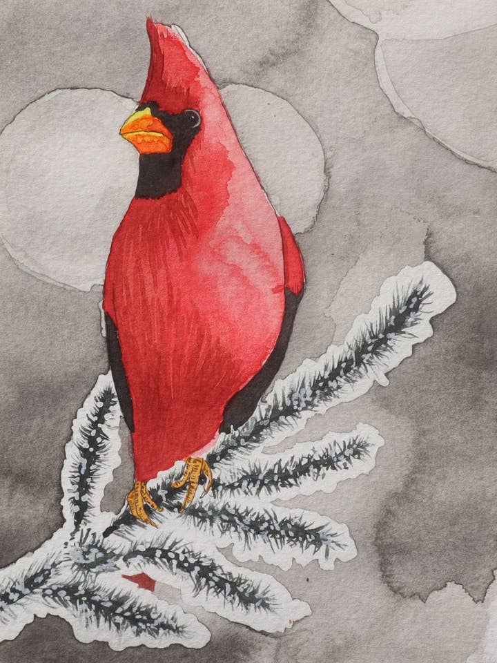 Snowy Cardinal greeting card for wholesale by Sparrowhawk Art Studio