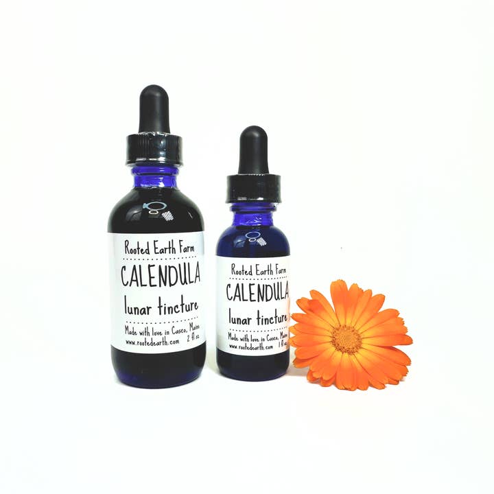 Rooted Earth Farm + Apothecary - Wholesale Tincture - Calendula Tincture - 2 Size Options