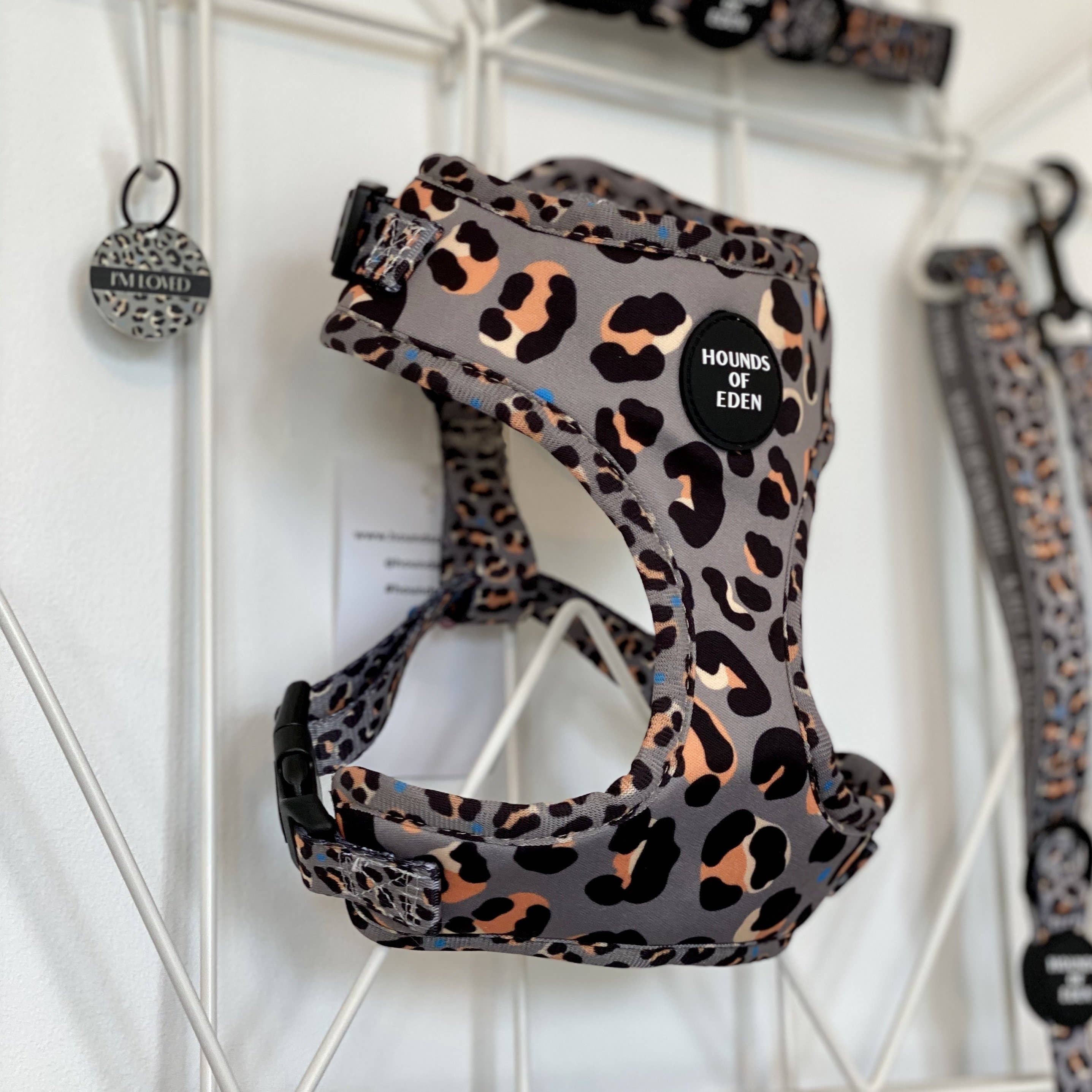 Hounds of Eden – Arnês – Cão por atacado – Steel Leopard - Arnês para cães cáqui/cinza10