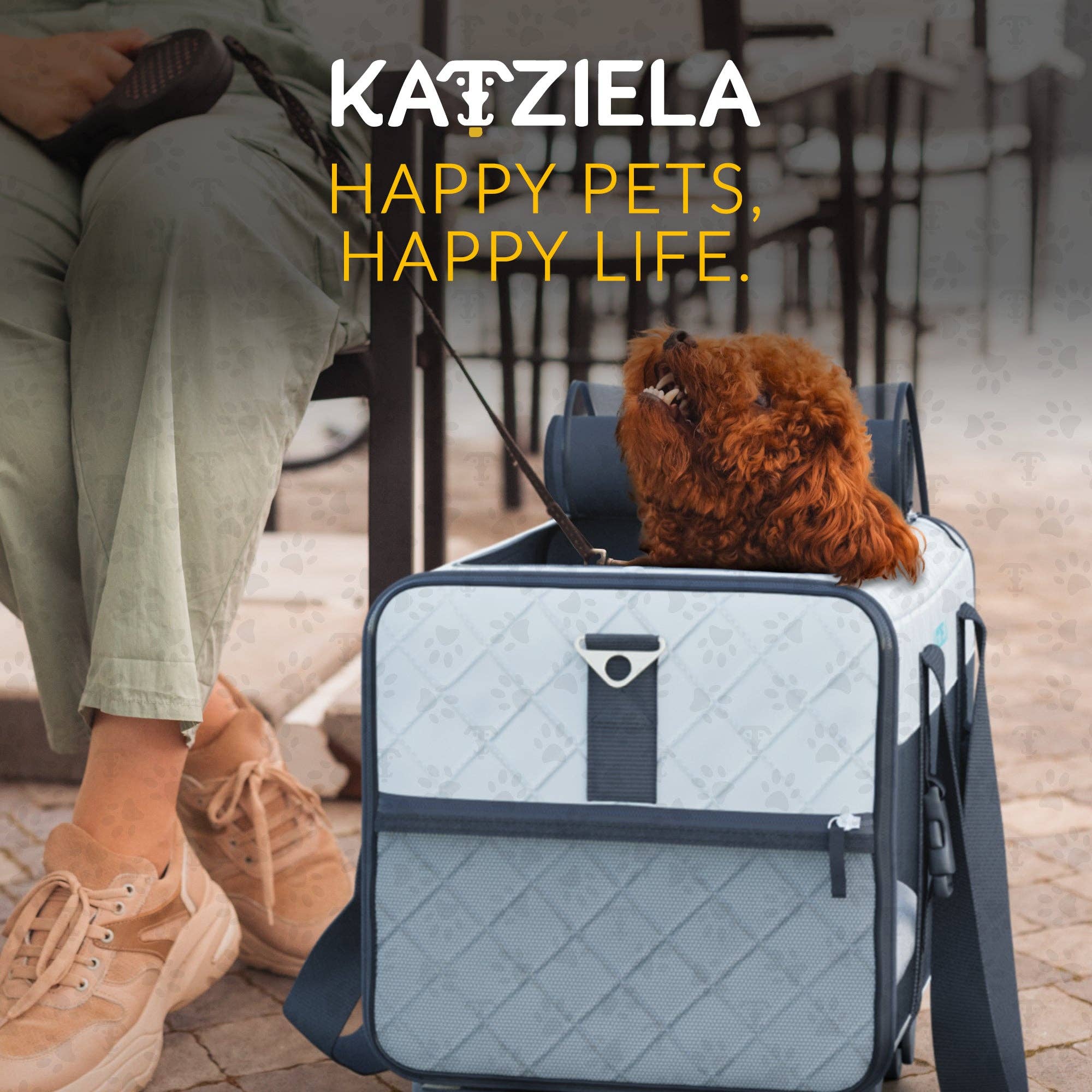 Katziela – Großhandel Haustier-Transportbox – Katze/Hund – Katziela® Chariot PRO Tragetasche für Haustiere, gesteppt16