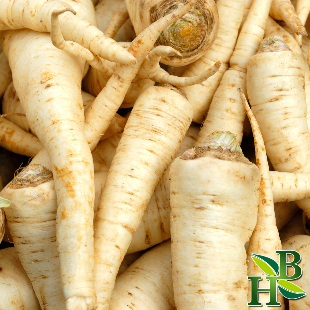 Herb To Body - Wholesale Herbs - Parsley Root C/S1
