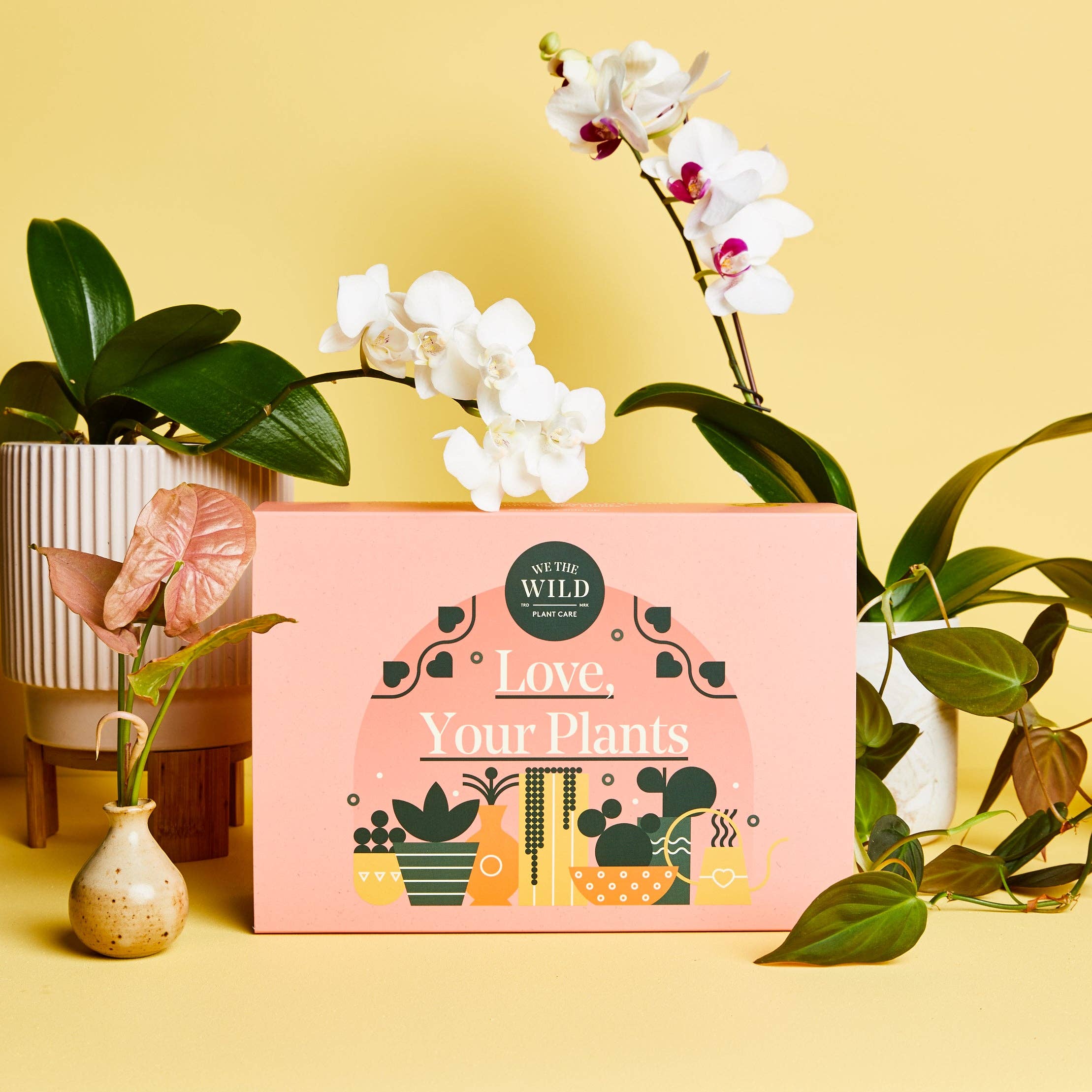 We the Wild Plant Care - Australia - Wholesale Planting/Potting Soil - Love Giftbox Essential Kit - Case of 61