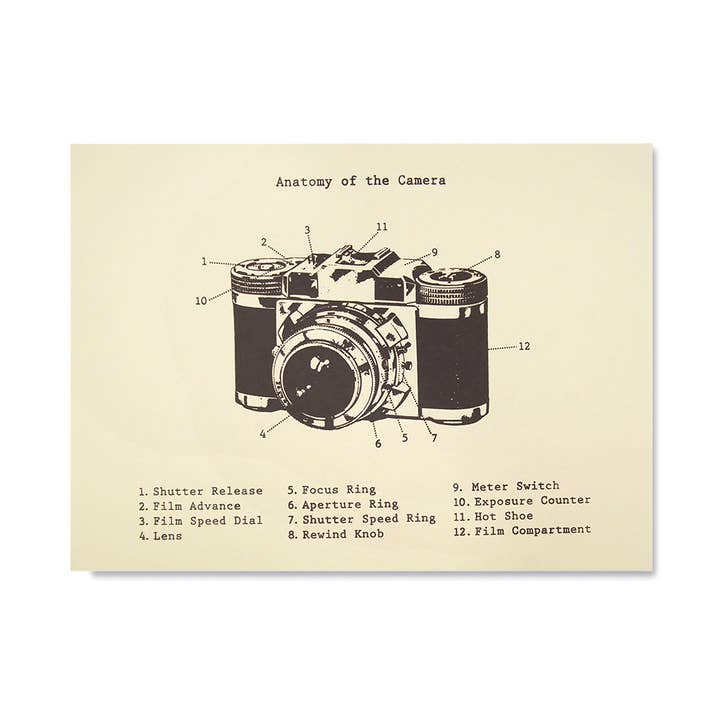 Kid Icarus - Poster - Anatomia da Câmara 12" X 16" por atacado de Kid Icarus