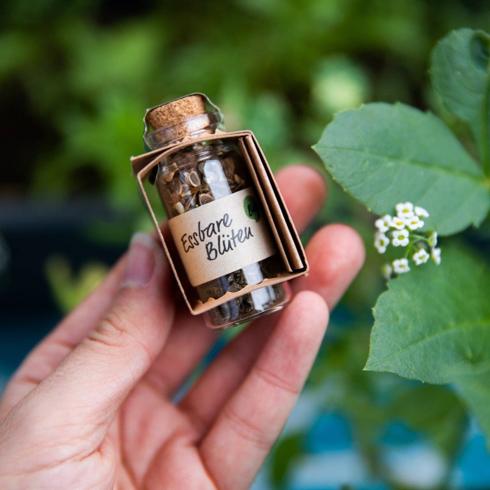 Pferdeapfel - Wir lieben Pflanzen – wholesale Frön – Ekologiska frön i glasflaskor med naturlig gödning1