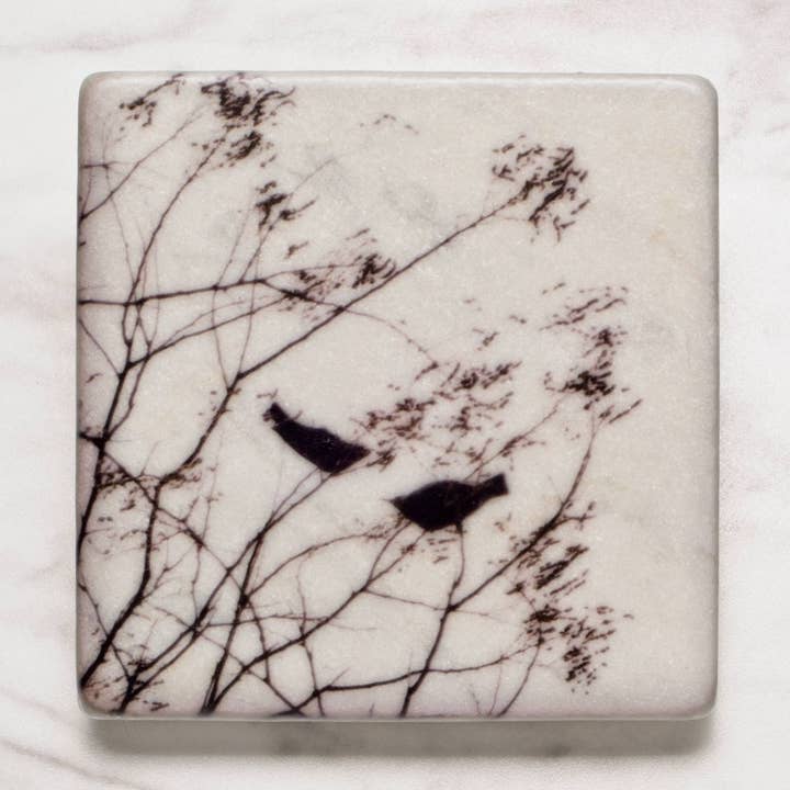 Oiseaux de Central Park pour la vente par StellaLily