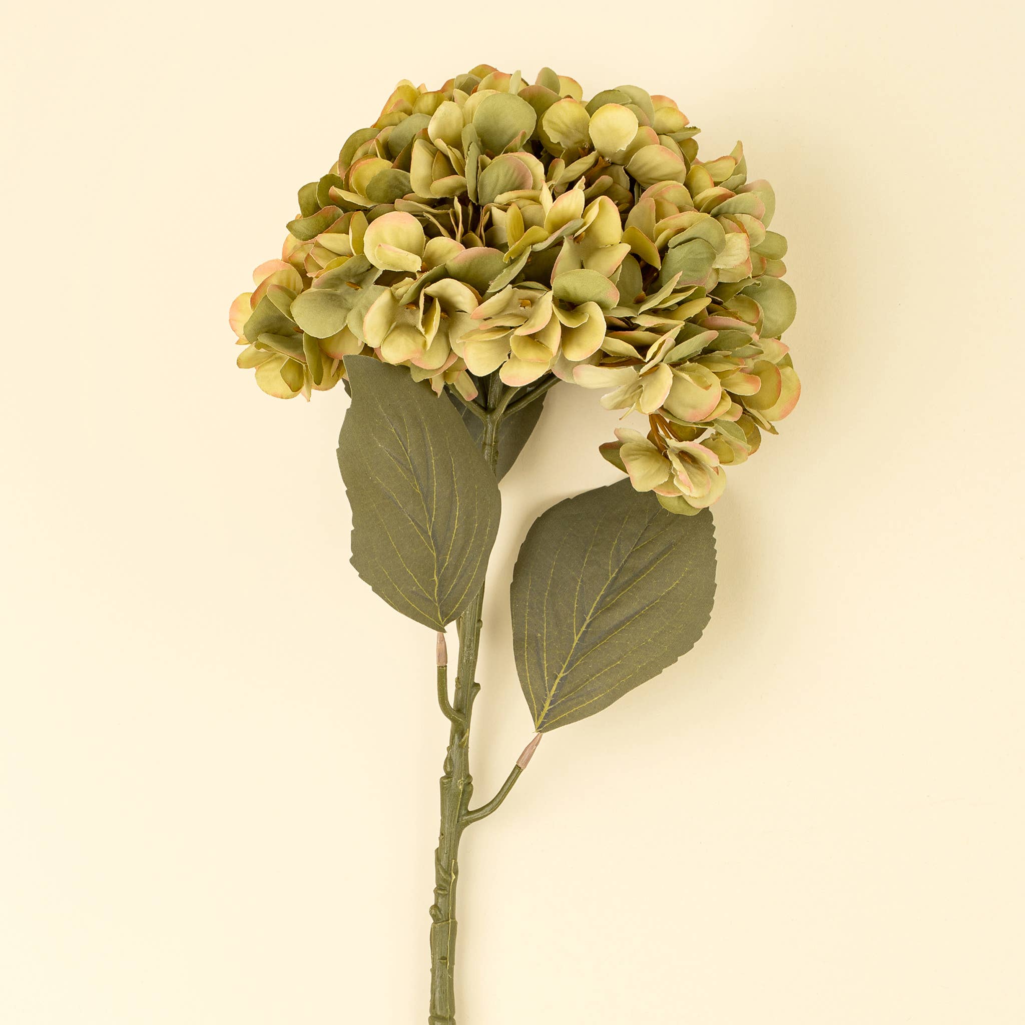 Indaba Trading - Wholesale Artificial Flowers - Faded Hydrangea Stem L, Green0