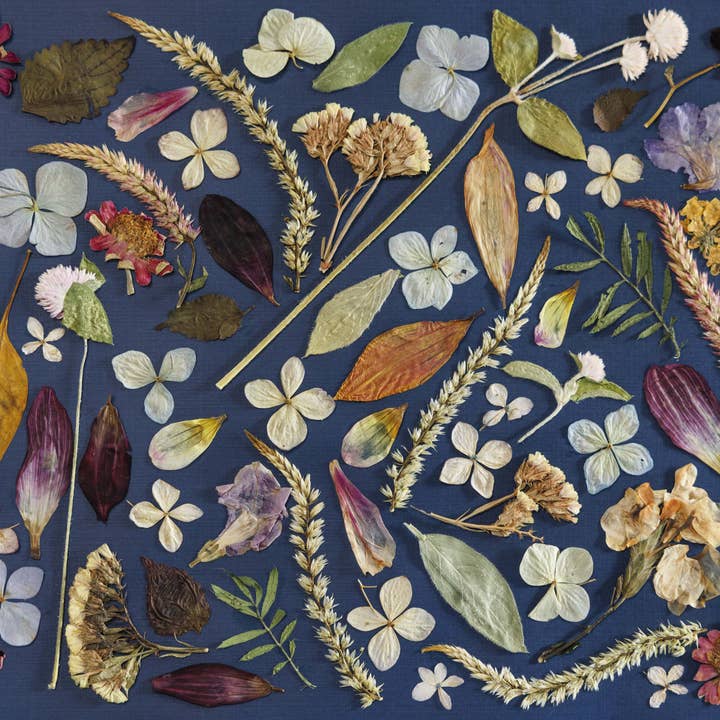 Pressed Botanicals Placemats for wholesale by Mon Petit Chou Art and Design