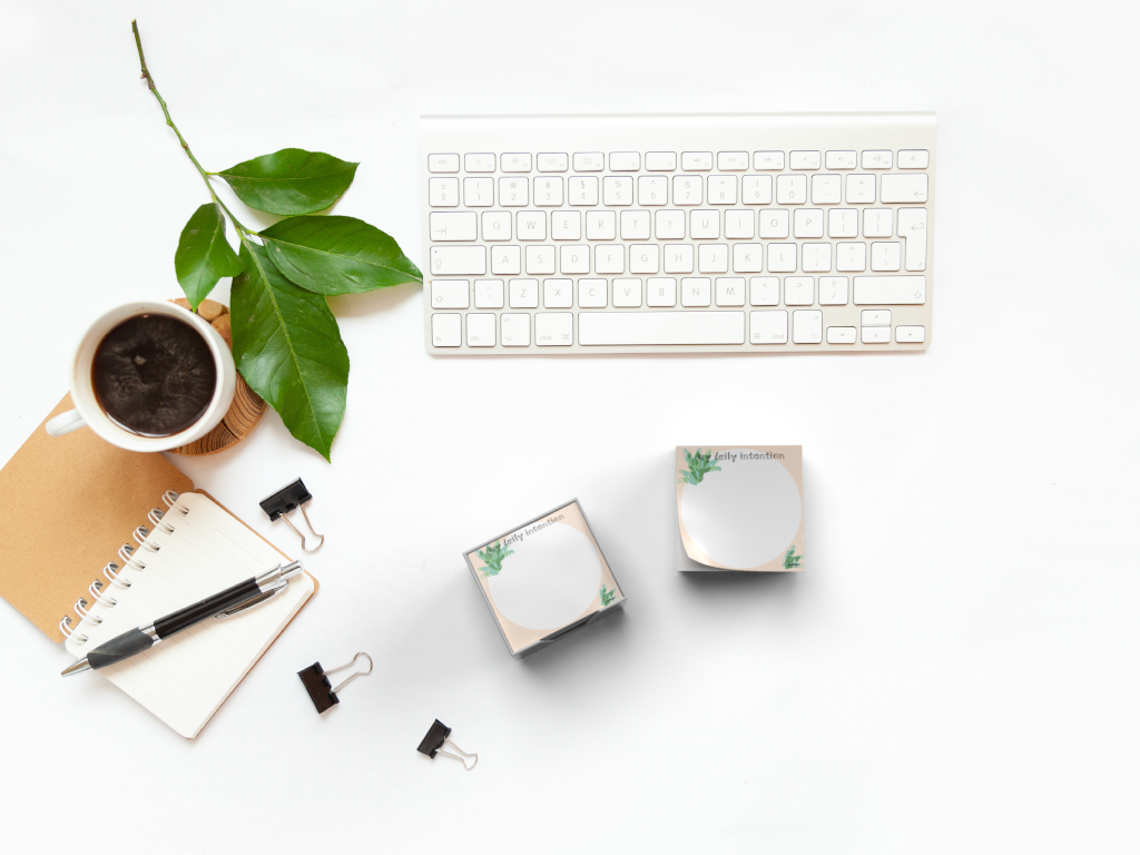 DANESSA - Wholesale Sticky Notes - My Daily Intention - Sticky Notes (Set of 3)0