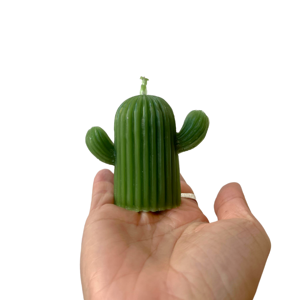 Freedom Rocks – wholesale Prydnadsljus – Cactus Naturligt bivax ljus1