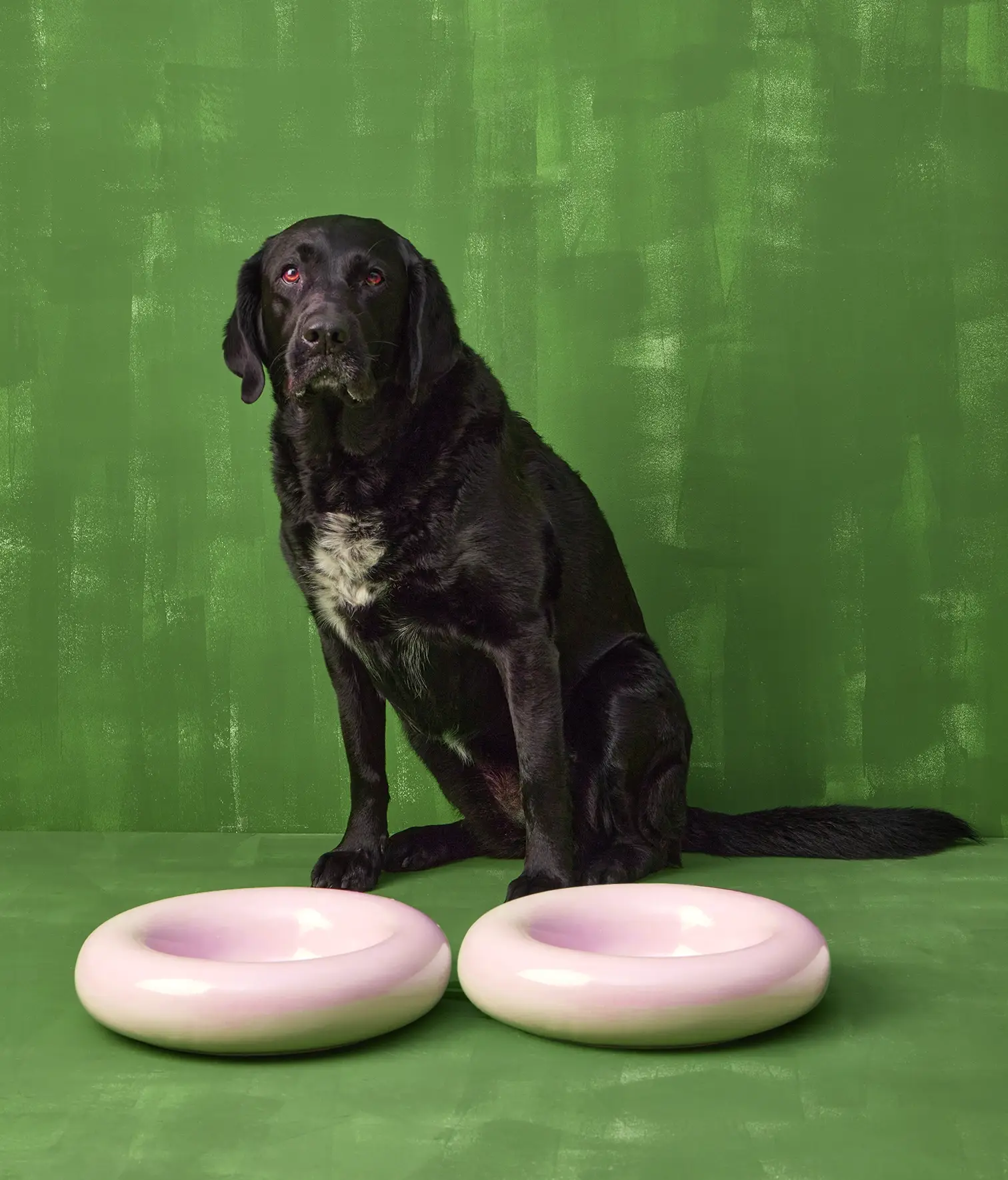 HotDog Pets - Wholesale Pet Bowl - Cat/Dog - Pink ceramic dog feeder10