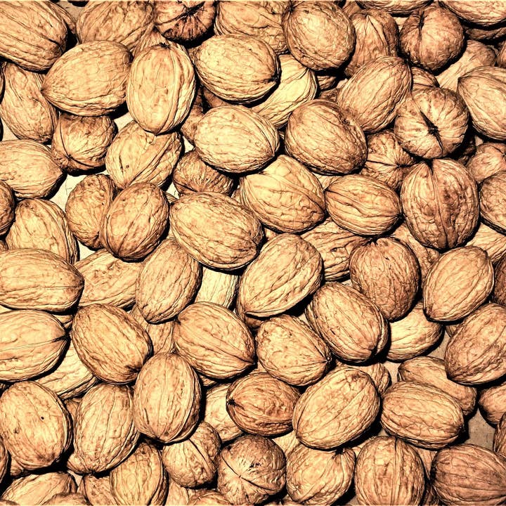 Organisk valnöt Shell för wholesale av DOMAINE L'HERMITON