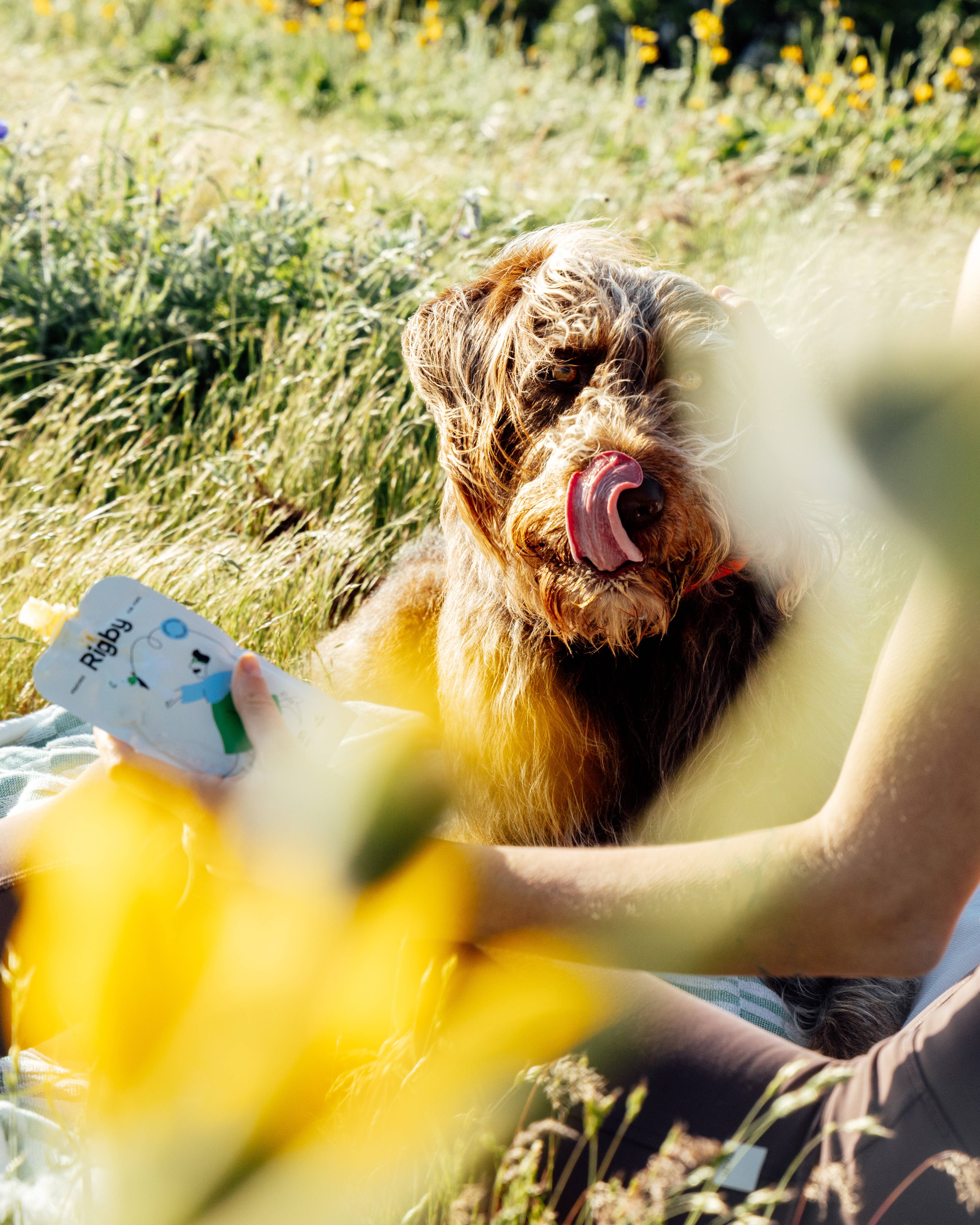 Rigby - Wholesale Pet Treats - Dog - Organic Chicken Squeeze Pouch for Dogs - 6 Pack5