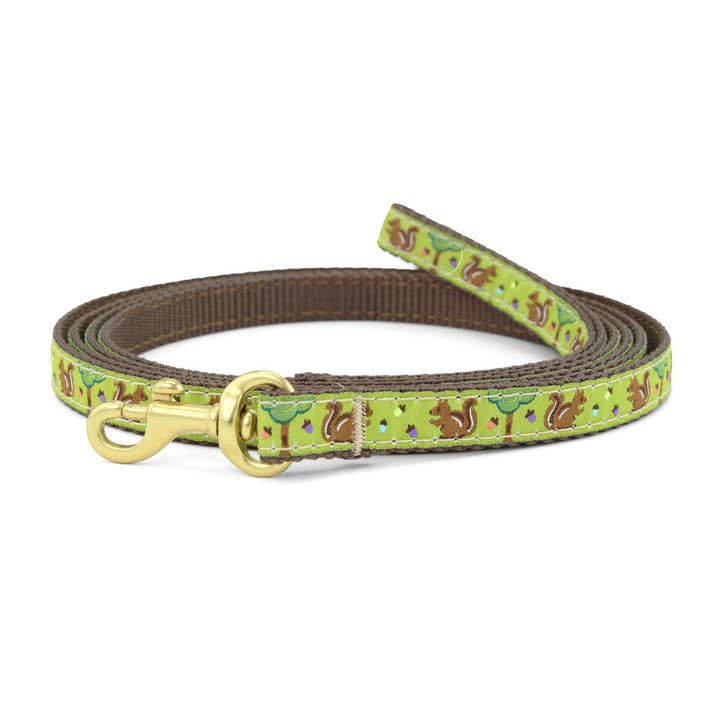 Nuts Small Breed Dog Lead for wholesale by Up Country, Inc.