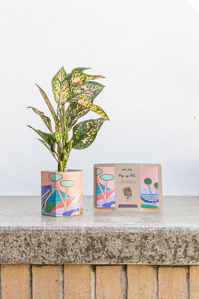 Sow 'n Sow - Wholesale Plant pot - Pop Up Pot 'Yonder' Small