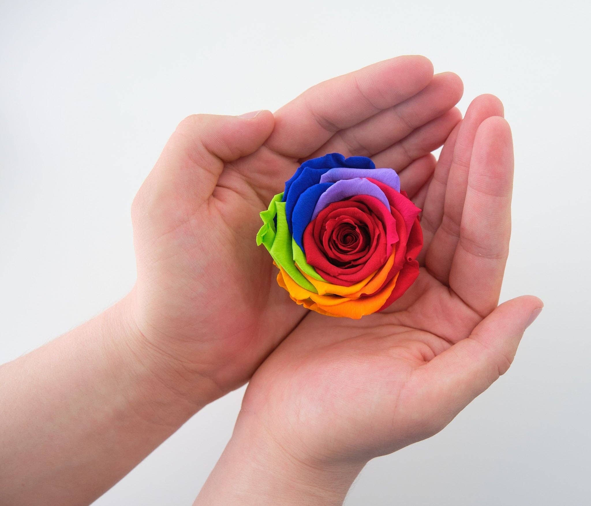 Novelty Closeout - Wholesale Dried/Pressed Flowers - Valentine's Day Preserved Rose Keepsake Assortment- 12/Pack1