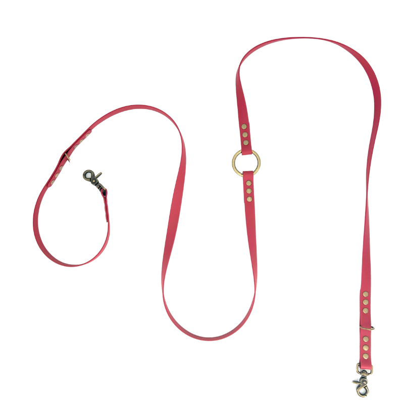 KITSUNE.DOG – wholesale Hundkoppel - Hund – Lämna hund MULTIPOSITION biothane - VERMILLON1