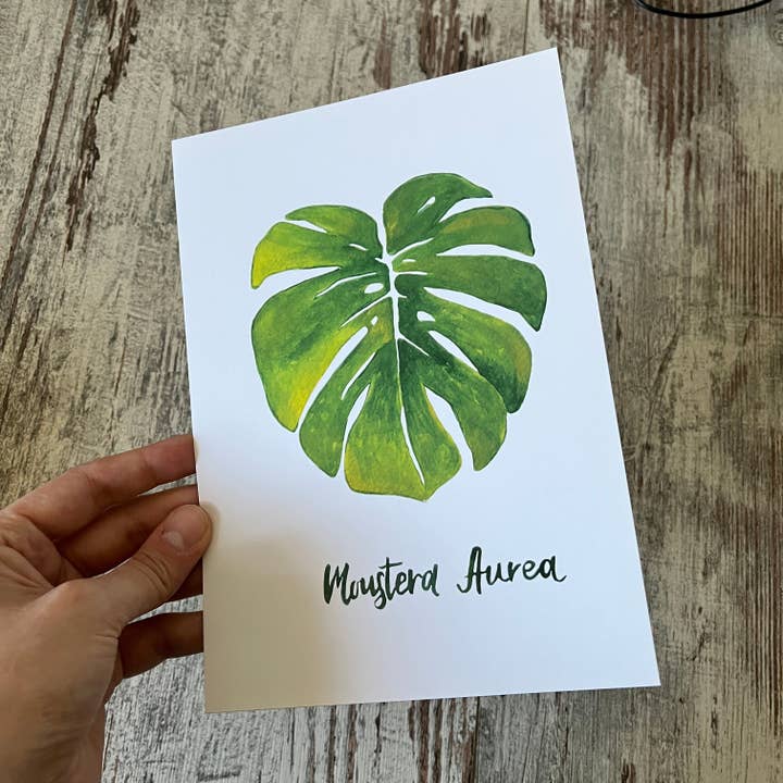 Clearance: A5 Postcard Monstera for wholesale by plantyintroverts