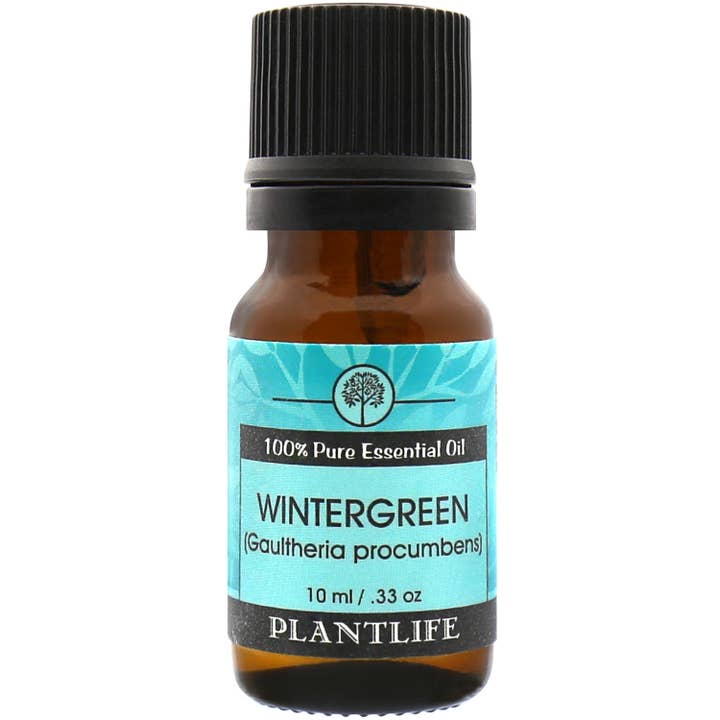 Olio essenziale di Wintergreen per la vendita all'ingrosso da parte di Plantlife