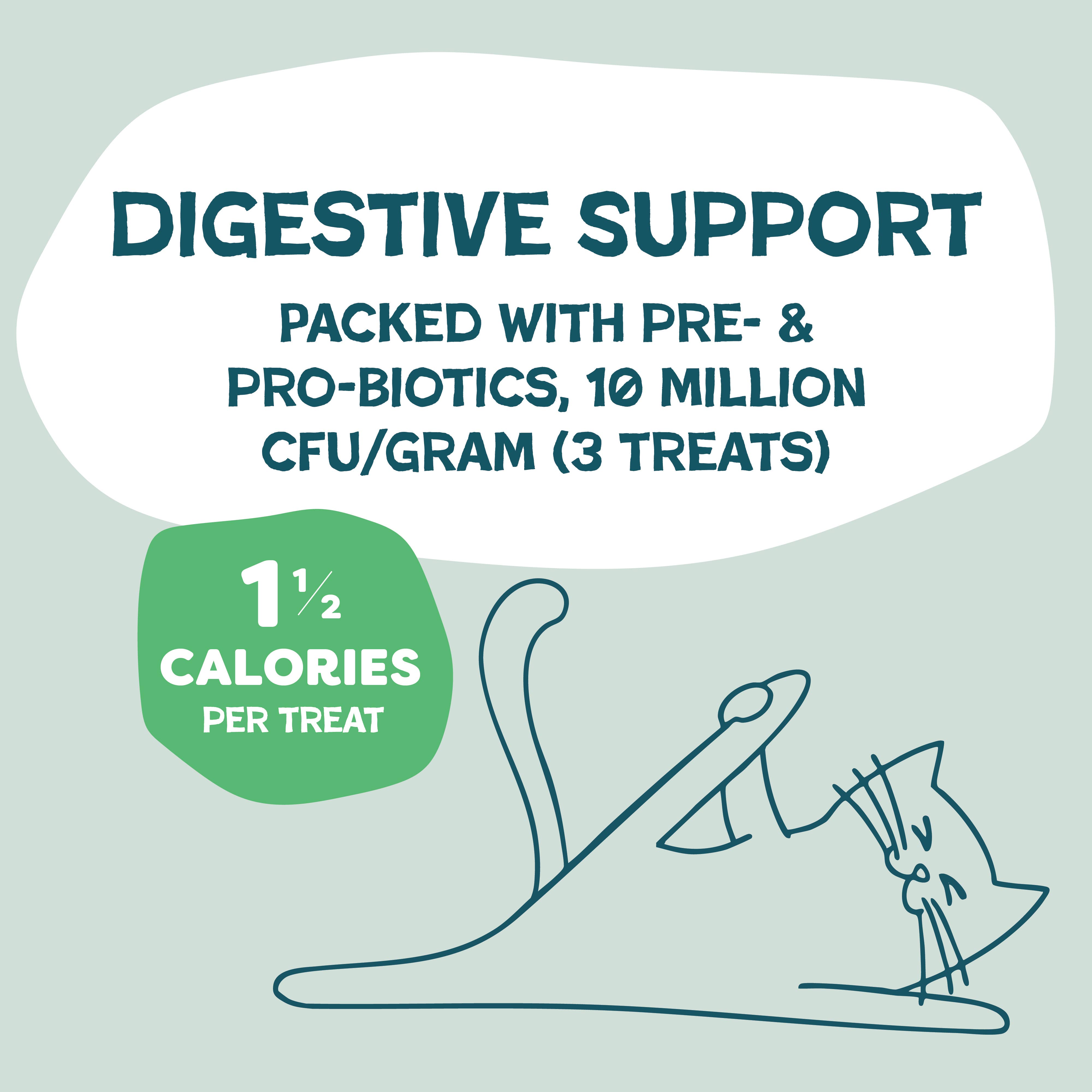 Shameless Pets - Vente Friandises – chat - Friandises Croquantes pour Chats Catnip N Chill - Poulet2