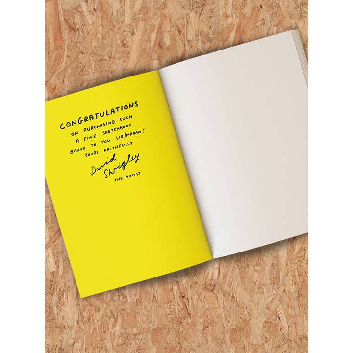 David Shrigley x Brainbox Candy - Wholesale Sketchbook/sketchpad - Funny Gift - Terrible Artwork Sketchbook by David Shrigley2