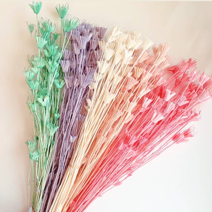 Petals & Pampas - Wholesale Dried/Pressed Flowers - Dried Octagon Flowers - Pink | Purple | Teal | Peach | White