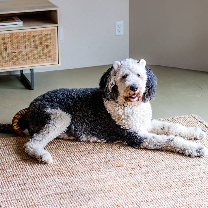 Midlee Designs - Wholesale Pet Costume - Dog - Midlee Tiger Dog Costume Headband (Large)6