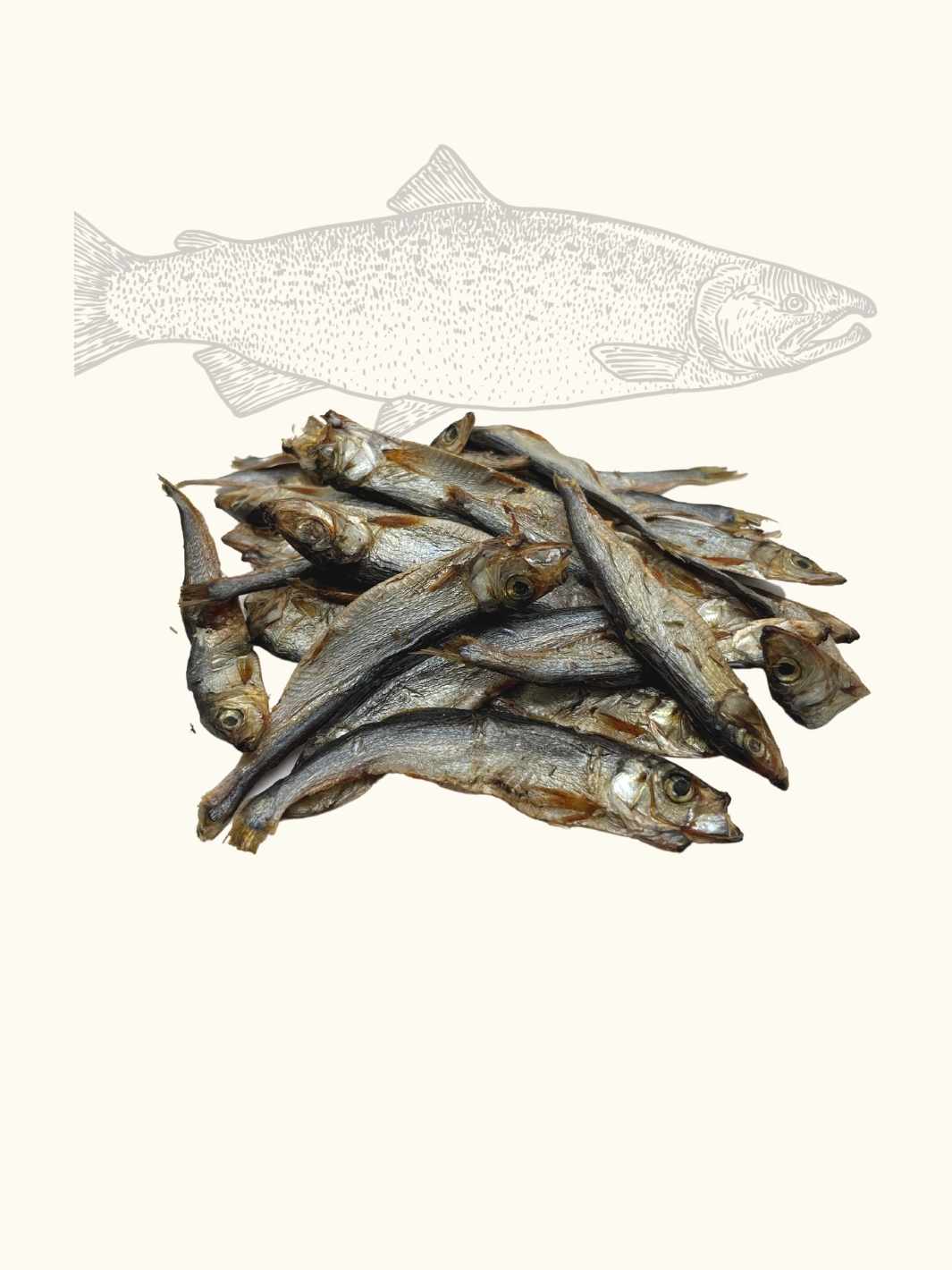 Truffe Délice - Wholesale Hondenkoekjes - Hond - Gedroogde sprotjes5