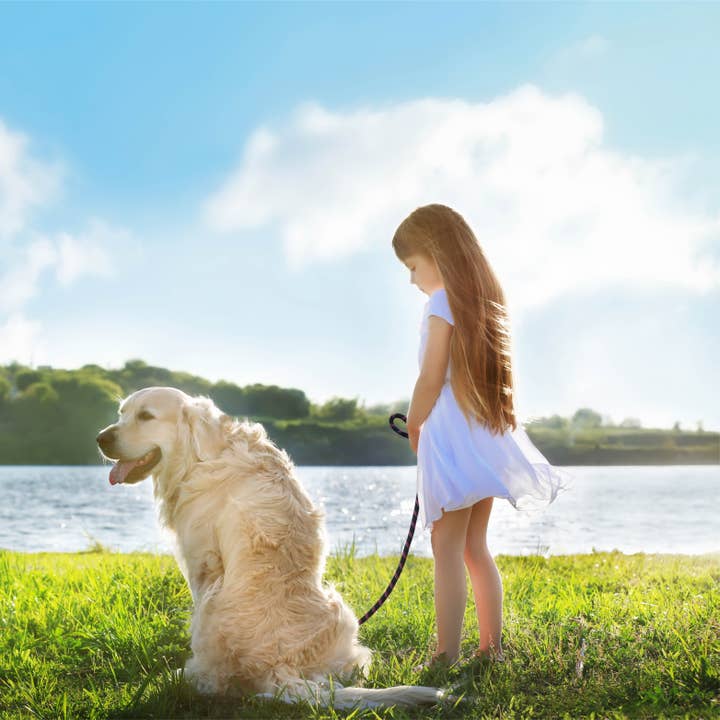DOCO – Großhandel Leine – Hund – DOCO® 1,5 m oder 1,5 m Seilleine mit Click & Lock Snap