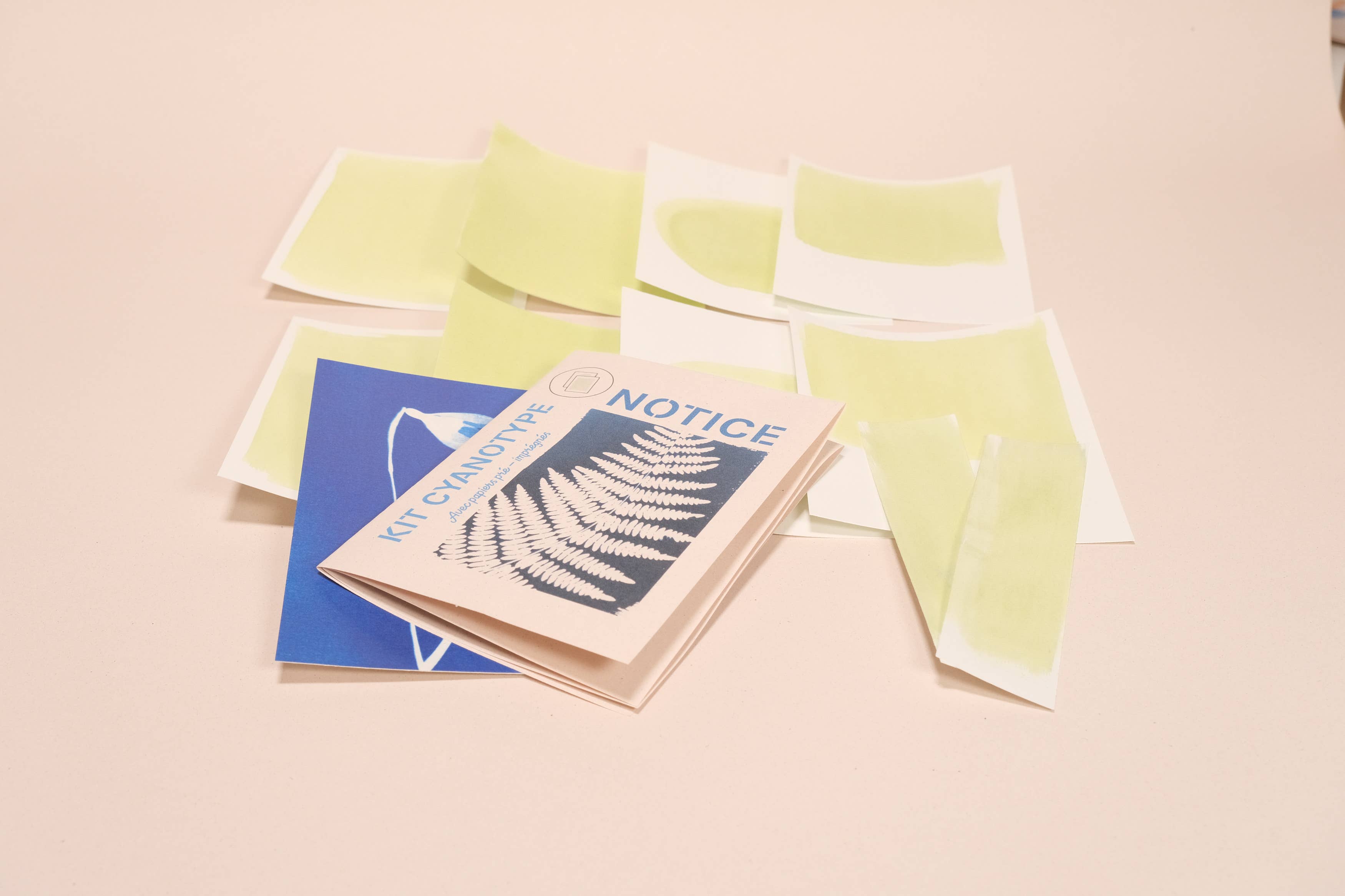 L'Atelier des Epatants - Venta al por mayor Kit de manualidades - Mini kit de cianotipo5