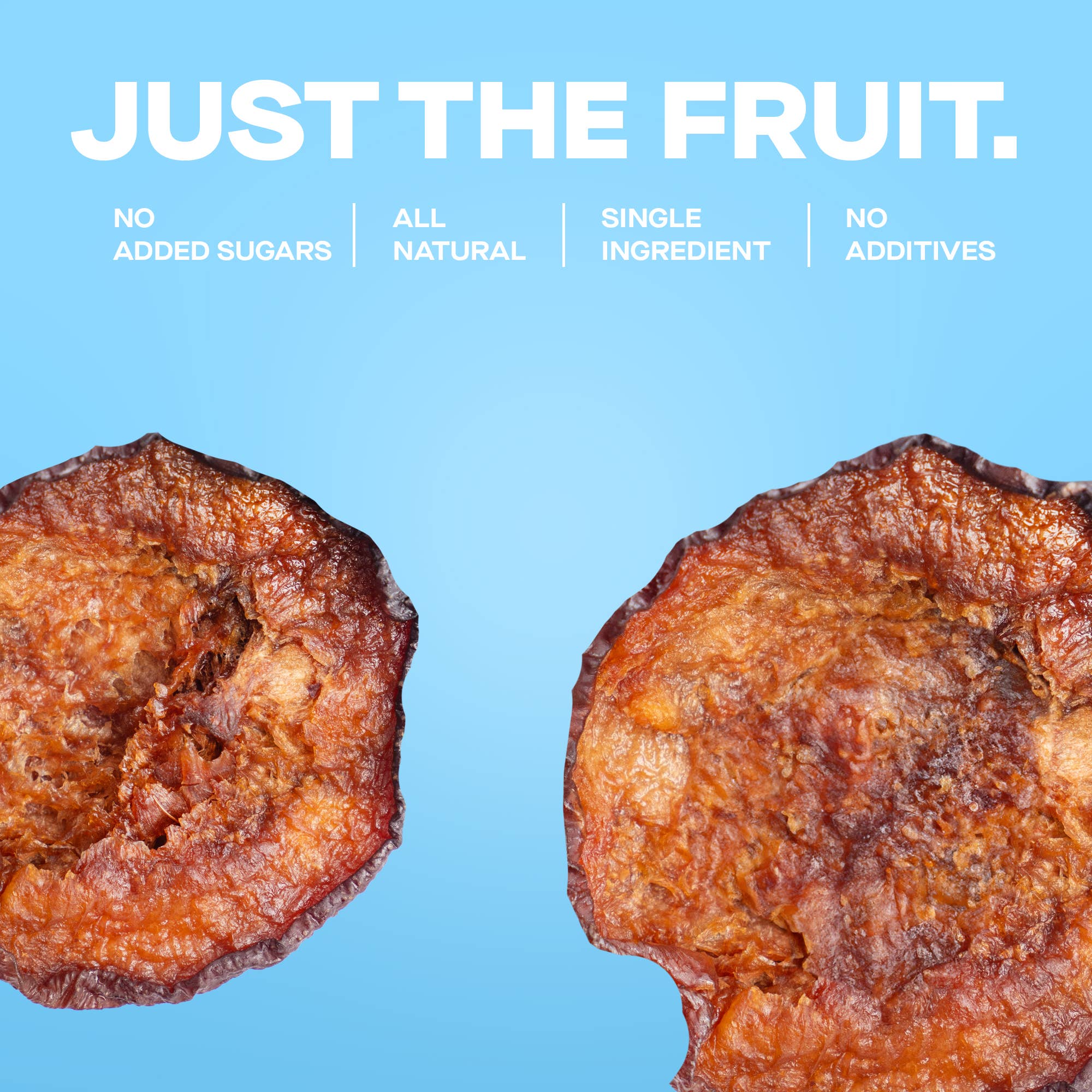 The Ugly Company - Wholesale Dried/Dehydrated Fruit - 3oz Dried & Sliced Plums2