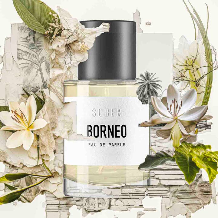sober - Wholesale Perfume/Eau de Toilette - BORNEO - Eau de Parfum1