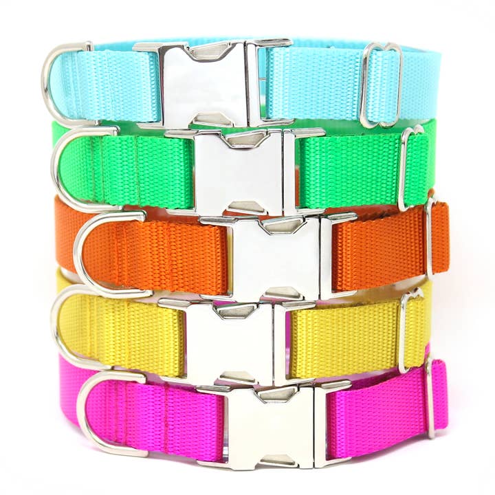 Collier pour chien Summer Colors Webbing, boucle en métal argenté pour la vente par Zaley Designs