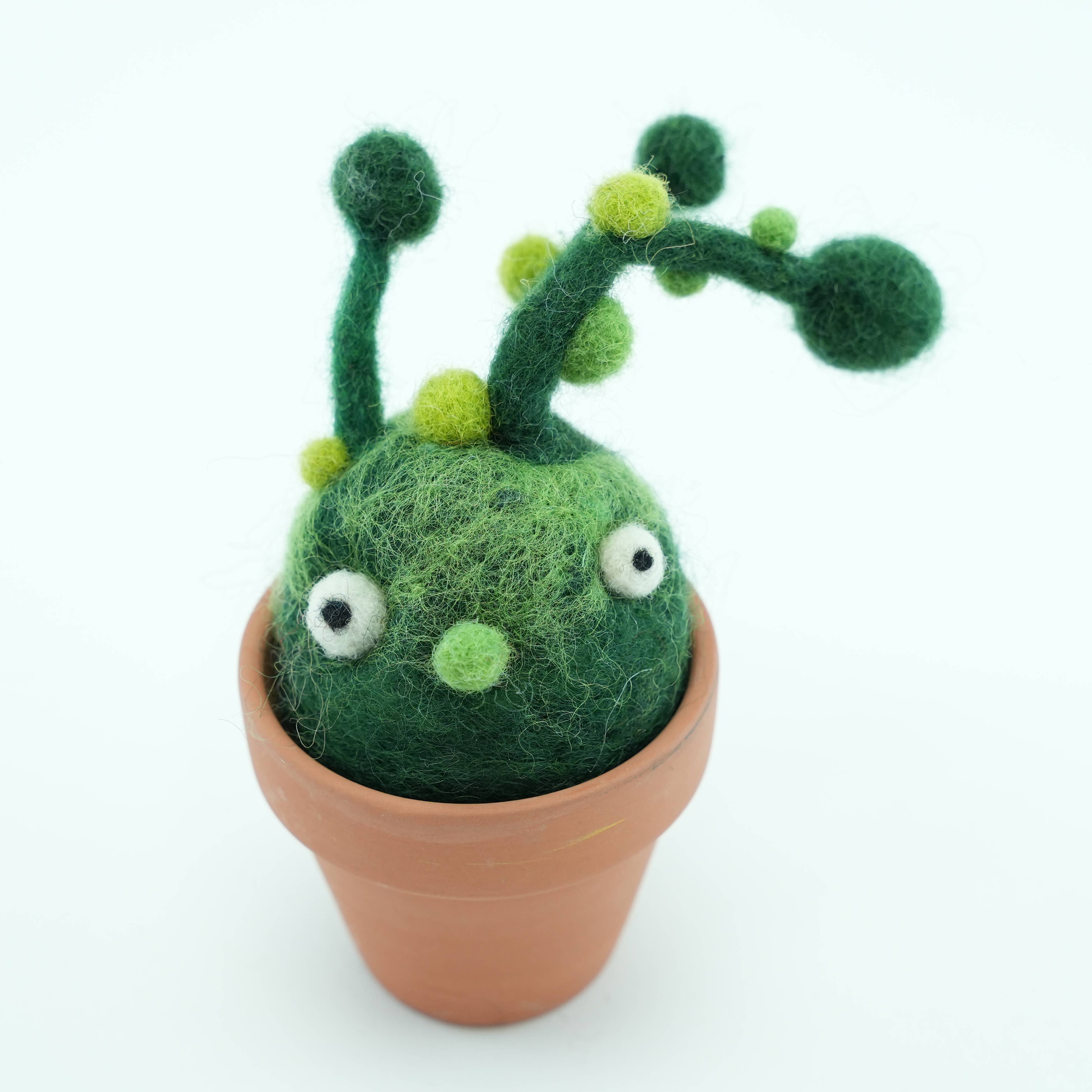 Woolbuddy – Vaso de plantas por atacado – Planta de Feijão Cacto em Feltro de Lã Feito à Mão2