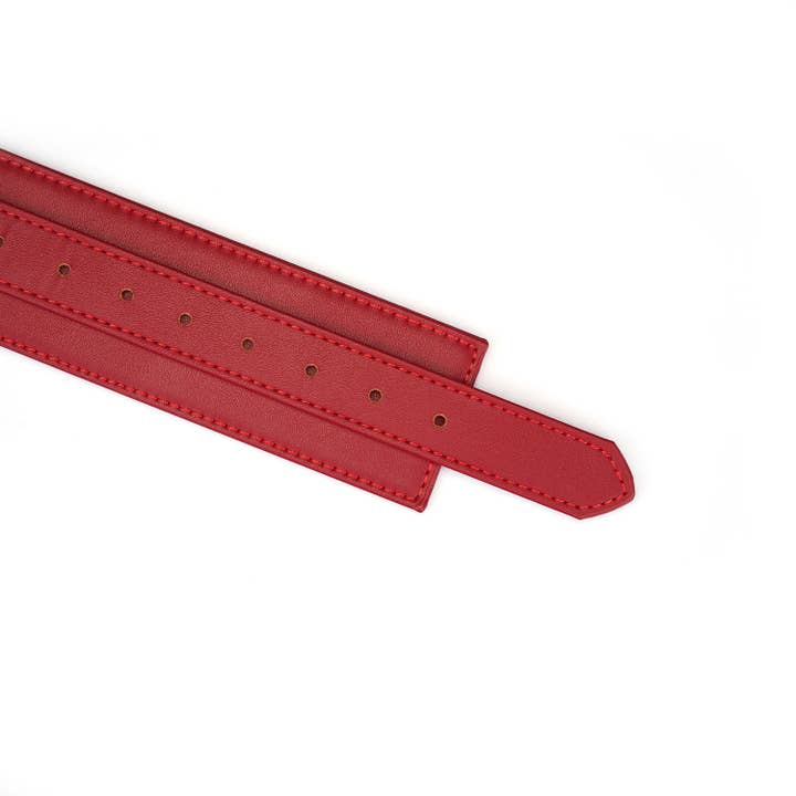 Liebe Seele - Wholesale Sex toy - Red Faux Leather Wrist to Thigh Cuffs Kit5