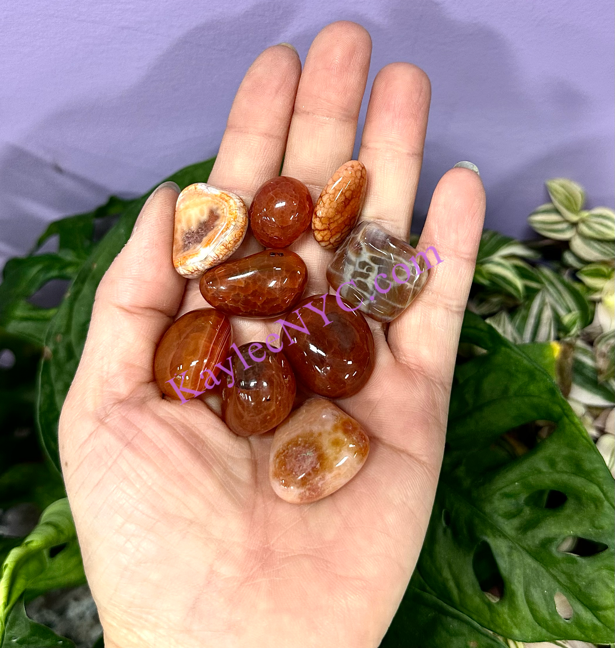 KayleeNYC - Wholesale Spiritual Stone/Crystal - 2 Lbs Natural Carnelian Tumble Healing Energy2