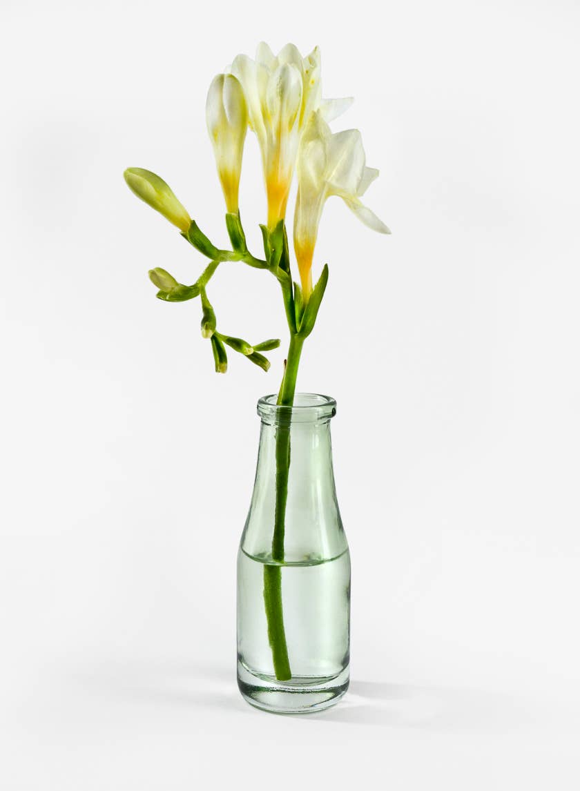 Jamali Garden - Wholesale Vase - Mexican Green Bud Vases3